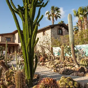Garden Cactus Landhaus Villaggio Mosè